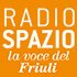 Logo Radio Spazio 103